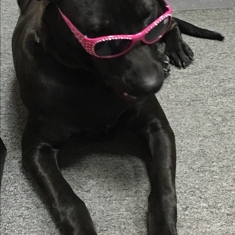 Meet your Posher, Mari